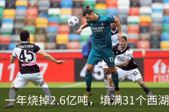 一年烧掉2.6亿吨，填满31个西湖！中国的垃圾，不够烧了？