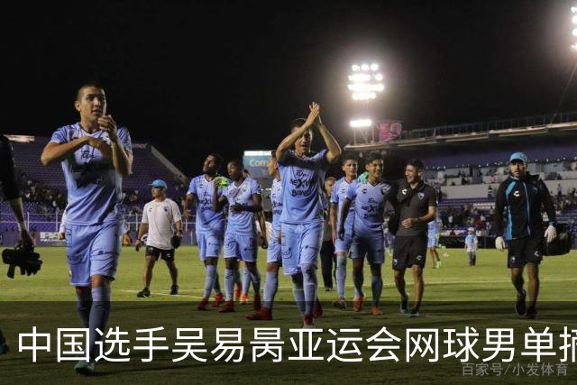 中国选手吴易昺亚运会网球男单摘银