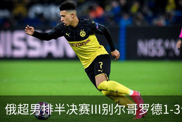 俄超男排半决赛III别尔哥罗德1-3告负 张景胤8分