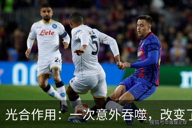 光合作用：一次意外吞噬，改变了整个地球