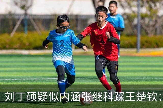 刘丁硕疑似内涵张继科踩王楚钦：别没完没了！你看还有谁搭理他？