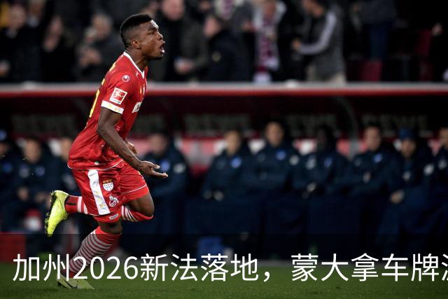 加州2026新法落地，蒙大拿车牌漏洞还能钻吗？