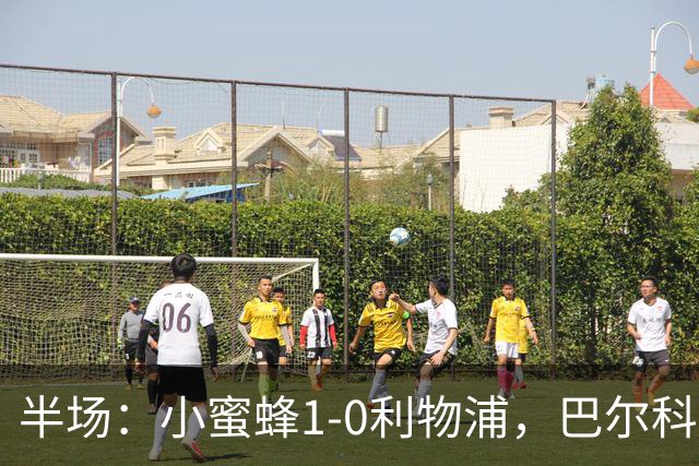 半场：小蜜蜂1-0利物浦，巴尔科拉失单刀，索博伤退