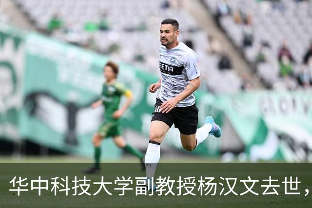 华中科技大学副教授杨汉文去世，享年62岁，55岁时患癌仍牵挂课堂，生前因“30年不评职称”为大众熟悉，称最有成就感的事是看学生有成就