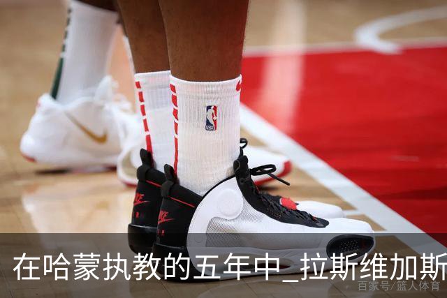 在哈蒙执教的五年中 拉斯维加斯王牌季后赛从未首轮游