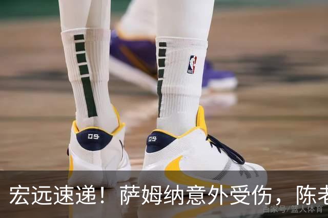 宏远速递！萨姆纳意外受伤，陈老板力劝二飞回归，卢卡一节半轰14分