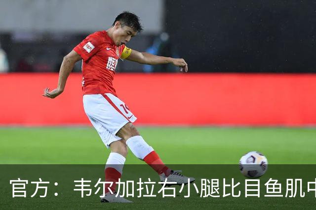 官方：韦尔加拉右小腿比目鱼肌中度拉伤；据悉至少休战15天