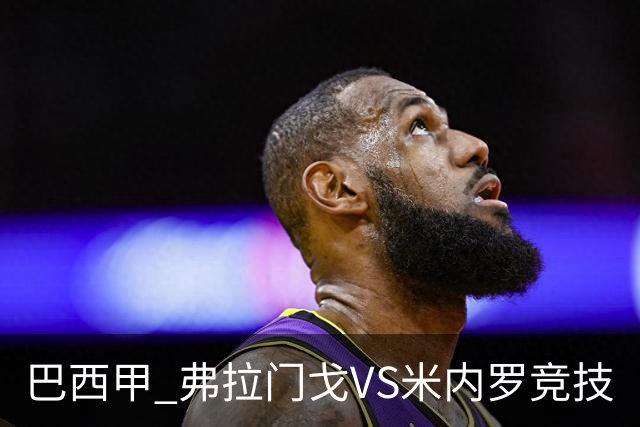 巴西甲 弗拉门戈VS米内罗竞技