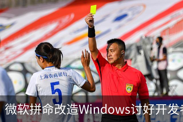 微软拼命改造Windows讨好开发者：结果很尴尬 依然没人买账