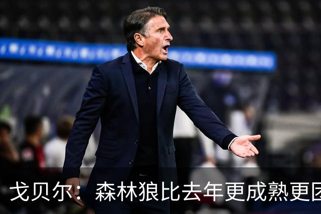 戈贝尔：森林狼比去年更成熟更团结 希望到五六月能应对任何挑战