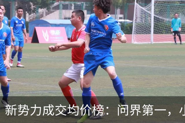 新势力成交均价榜：问界第一，小米第九，最后一名半价"理想" 并非浪得虚名