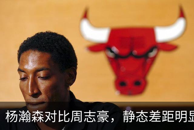 杨瀚森对比周志豪，静态差距明显，潜力却不在一个维度