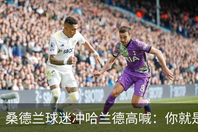 桑德兰球迷冲哈兰德高喊：你就是差劲版布罗比，他示意大声点
