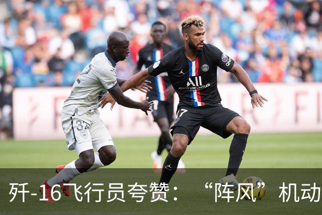 歼-16飞行员夸赞：“阵风”机动性、近距格斗能力都要更强一些！
