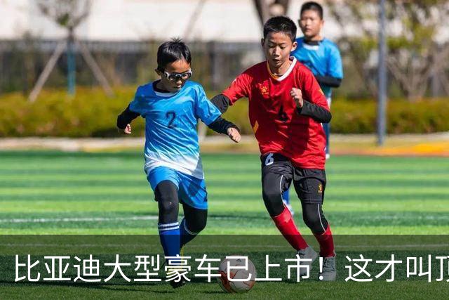 比亚迪大型豪车已上市！这才叫顶级颜值设计