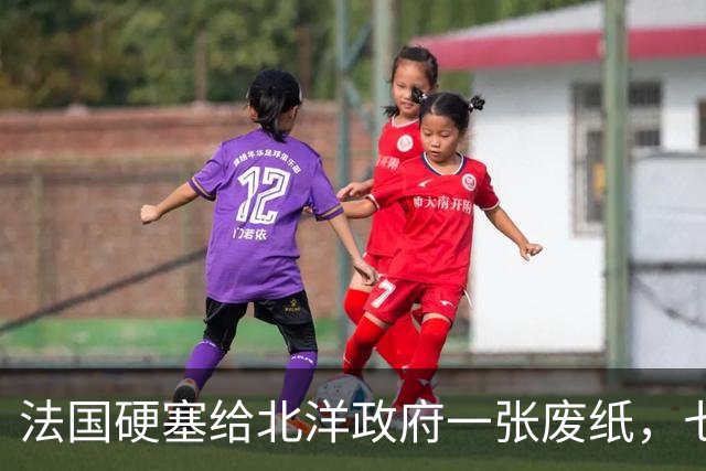 法国硬塞给北洋政府一张废纸，七十年后中国凭它在北极插下一面旗