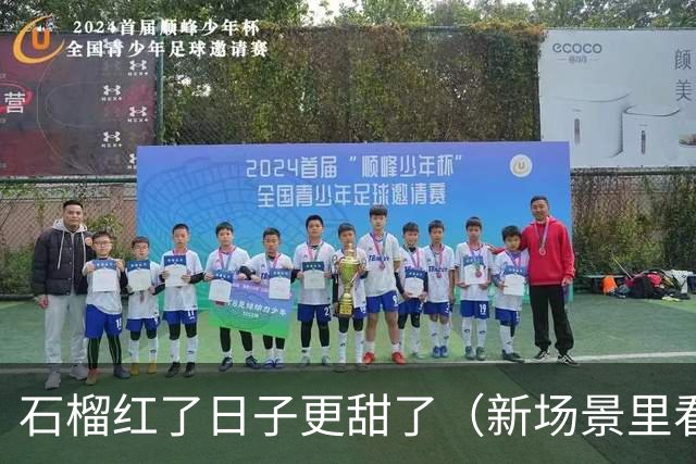 石榴红了日子更甜了（新场景里看活力）