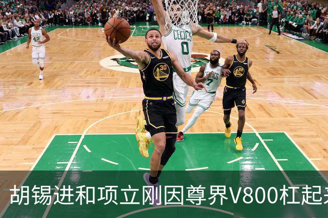 胡锡进和项立刚因尊界V800杠起来了：项立刚建议人人买一辆，支持民族企业！胡锡进认为企业底线要守住