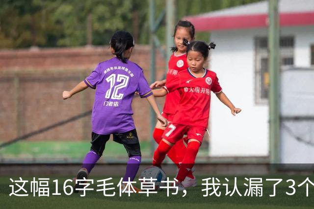 这幅16字毛体草书，我认漏了3个，实在不好意思念！您要是全读准了，我得喊您一声老师——顺便请教：大字怎么写才能撑得开、又不垮？