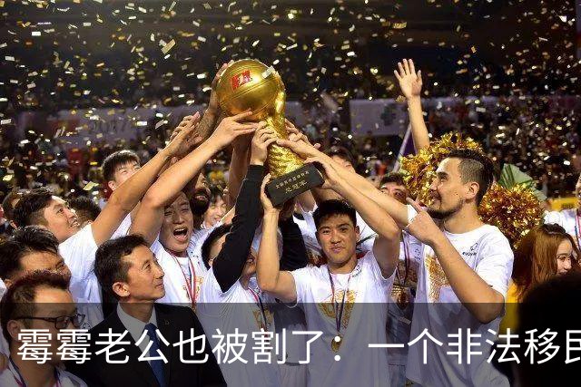 霉霉老公也被割了：一个非法移民如何用七年时间，把美国体育圈骗了个遍