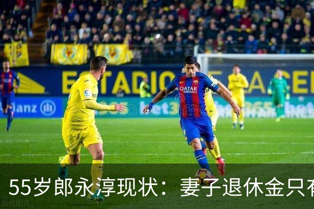 55岁郎永淳现状：妻子退休金只有3000，海归儿子待业，他停不下来