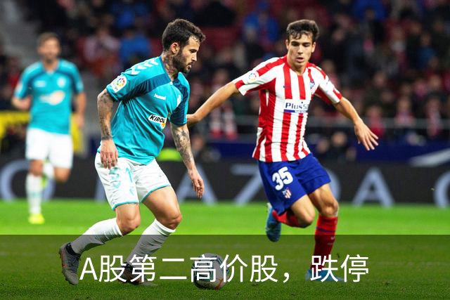 A股第二高价股，跌停