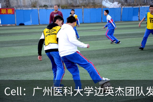 Cell：广州医科大学边英杰团队发现，癌细胞通过竞争维生素B2来驱动T细胞铁死亡，提出改善癌症免疫治疗新思路