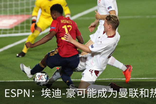 ESPN：埃迪-豪可能成为曼联和热刺换帅首选