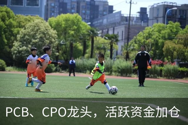 PCB、CPO龙头，活跃资金加仓（附股）